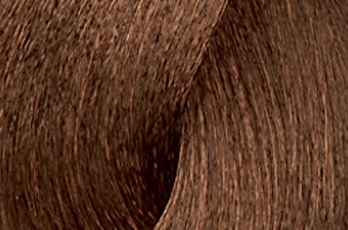 L'Oreal Professionnel Dia Light Gel-Crème Demi-Permanent Hair Color 1.7oz
