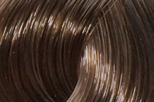 6N
