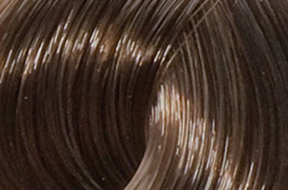 6N