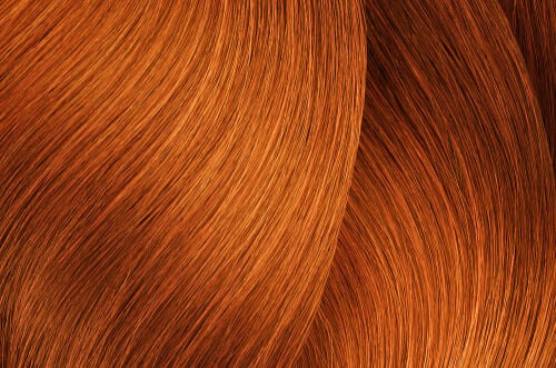 L'Oreal Professionnel iNOA Ammonia-Free Permanent Hair Color 2.1oz 7.43/7CG Blonde Copper Gold