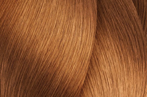 L'Oreal Professionnel iNOA Ammonia-Free Permanent Hair Color 2.1oz 8.34/8GC Light Blonde Gold Copper