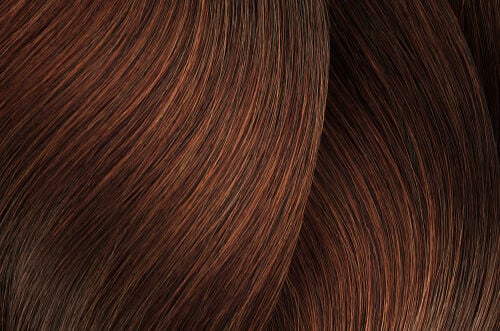 L'Oreal Professionnel iNOA Ammonia-Free Permanent Hair Color 2.1oz
