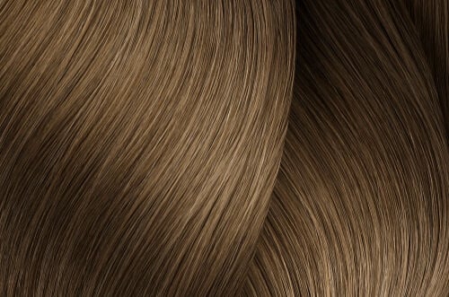 L'Oreal Professionnel iNOA Ammonia-Free Permanent Hair Color 2.1oz 8.13/8BG Light Blonde Blue Gold