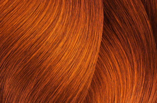 L'Oreal Professionnel iNOA Ammonia-Free Permanent Hair Color 2.1oz