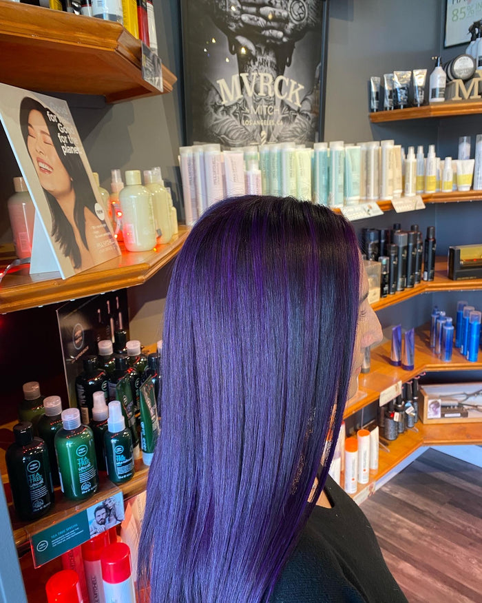 Hair Dynamics salon Fort Lee NJ — violet blue vivid color