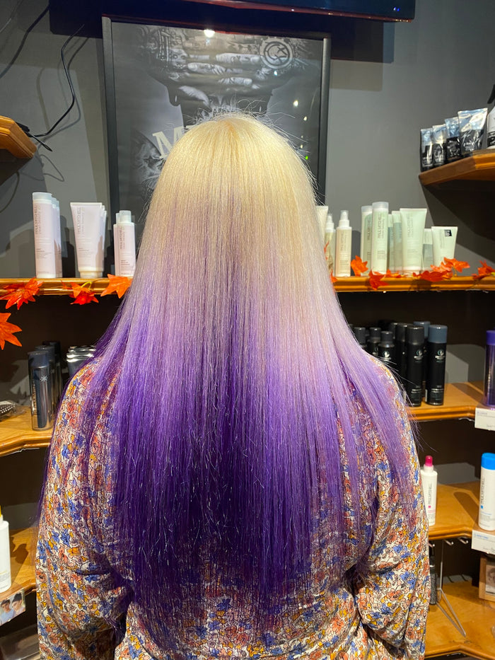 Hair Dynamics salon Fort Lee NJ — blonde to purple ombre